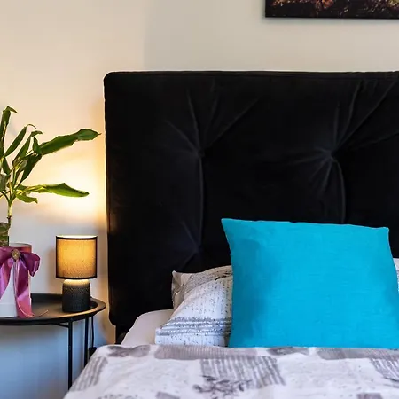 Alpha And Simba * Dubrovnik