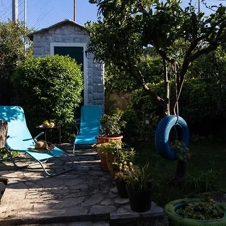 公寓 Alpha And Simba