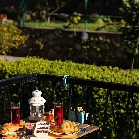 Apartament Alpha And Simba *