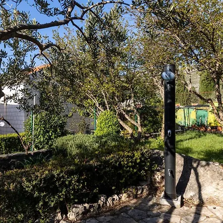 Apartament Alpha And Simba *