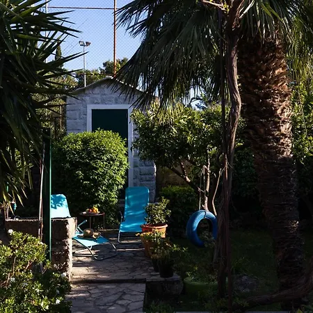 Apartament Alpha And Simba *