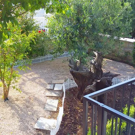 Apartament Alpha And Simba