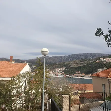 Alpha And Simba Dubrovnik