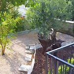 Apartamento Alpha And Simba
