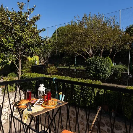 Alpha And Simba * 두브로브니크