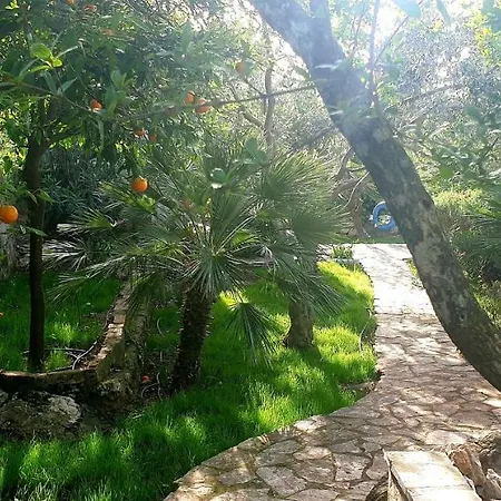 아파트 Alpha And Simba *