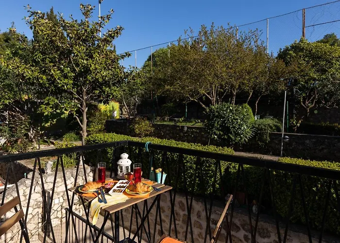 Alpha And Simba * 두브로브니크