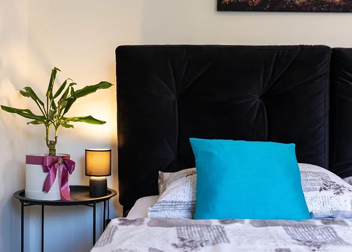 Alpha And Simba * 두브로브니크