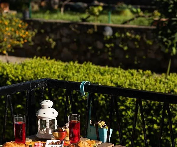 아파트 Alpha And Simba *