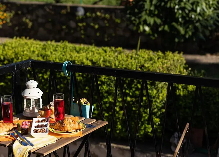 Alpha And Simba * 두브로브니크