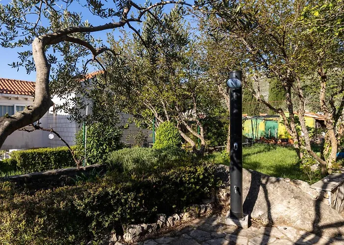 아파트 Alpha And Simba *