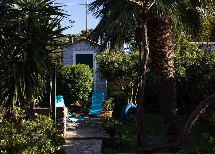 아파트 Alpha And Simba *