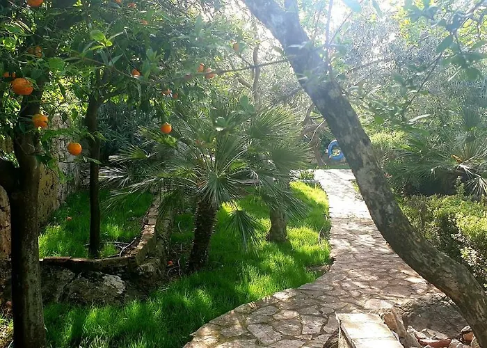 아파트 Alpha And Simba *