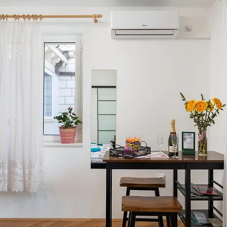 Alpha And Simba Dubrovnik